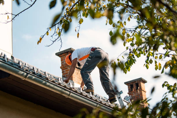 Best Roof Repair Specialists  in Powells Crossroads, TN