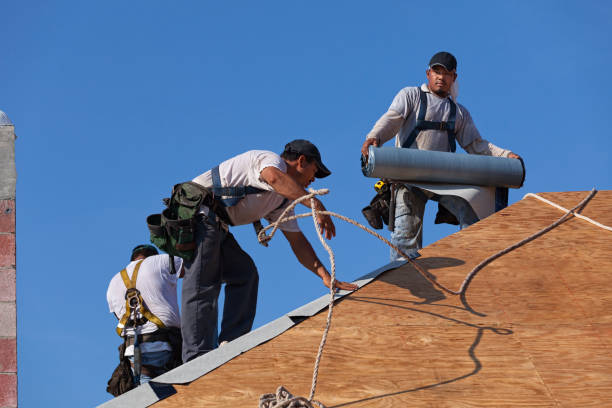 Best Metal Roofing Contractor  in Powells Crossroads, TN
